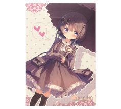 コミケ用ペーパーバッグ 小判型手穴（蓋付き）平袋 イラストを全面に表裏別デザイン印刷事例