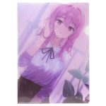 C107-003 クリアファイル｜冬コミ