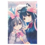 C107-017 小ロットポリエステル不織布バッグ｜冬コミ