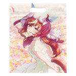 C107-027 小ロットポリエステル不織布バッグ｜ コミケ