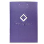 C107-036 小ロットフルカラー紙袋（RGB印刷）｜冬コミ