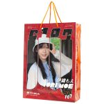 C107-049 オリジナル紙袋｜ コミケ