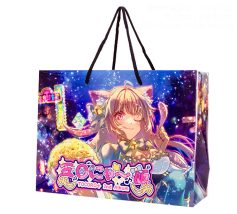 オリジナルペーパーバッグ事例　A4横対応サイズで全面にRGB印刷 同人音楽即売会用ショッパー