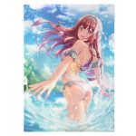  C108-002 クリアファイル｜夏コミ