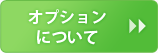 オプションについて