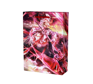 同人用紙袋制作事例