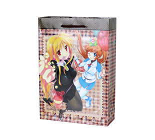 同人用紙袋制作事例