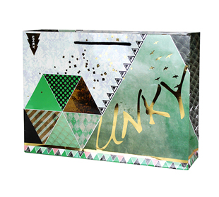 同人用紙袋制作事例