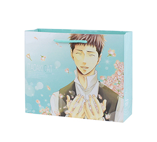 同人用紙袋制作事例