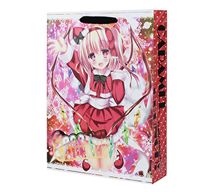 同人用紙袋制作事例