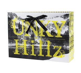 同人用紙袋制作事例