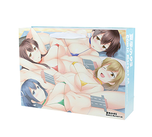 同人用紙袋制作事例