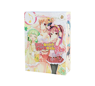 同人用紙袋制作事例