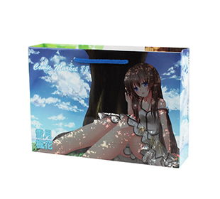 同人用紙袋制作事例