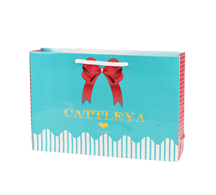 同人用紙袋制作事例