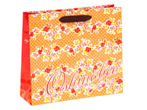 同人用紙袋制作事例012